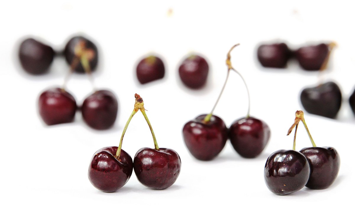 Morello Cherry