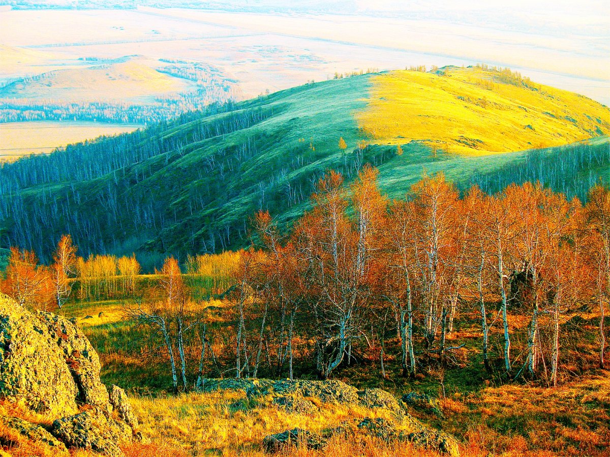 Белорецк Башкирия лес осень