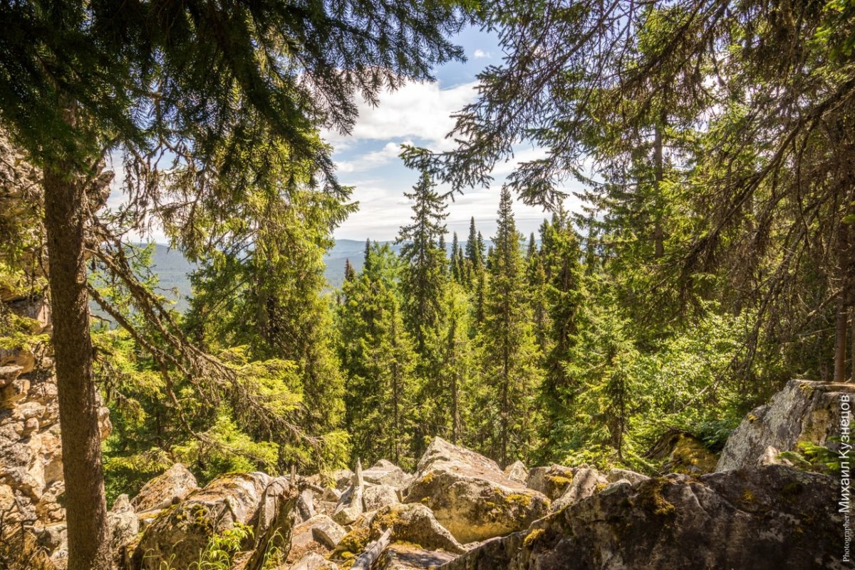Сопохский Бор Кивач