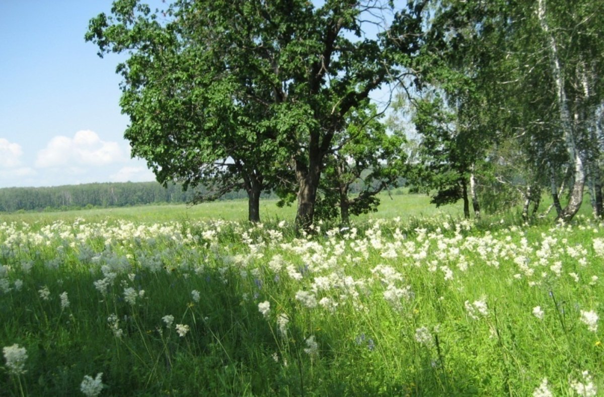 Луга Башкирии