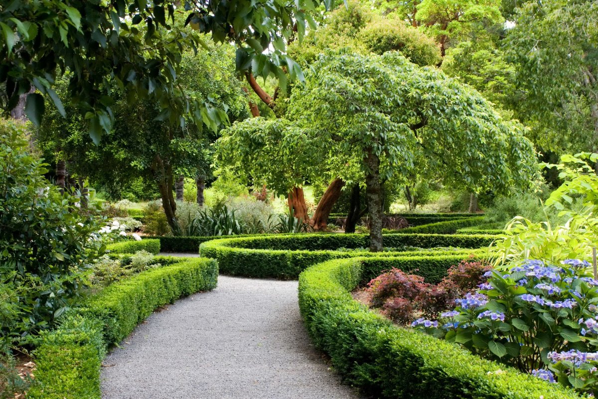Зеленый сад ландшафтный дизайн