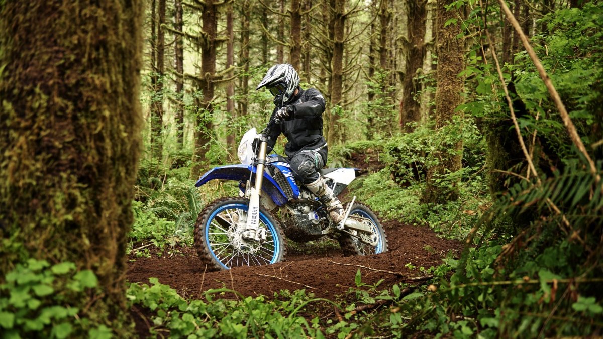 Ямаха wr450f по лесу