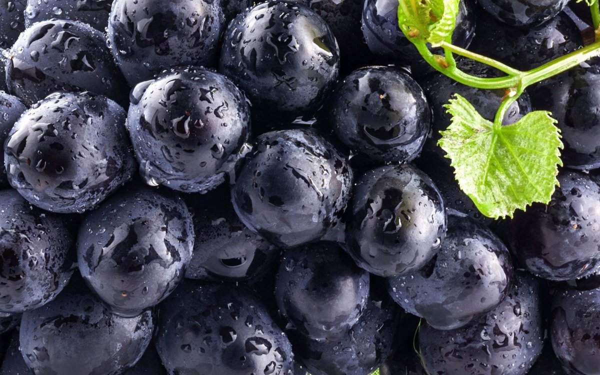 Blueberry виноград