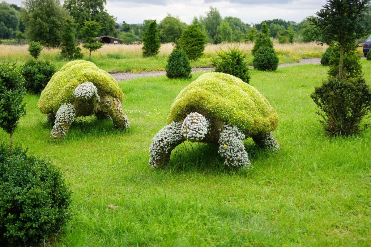 Топиарная арка