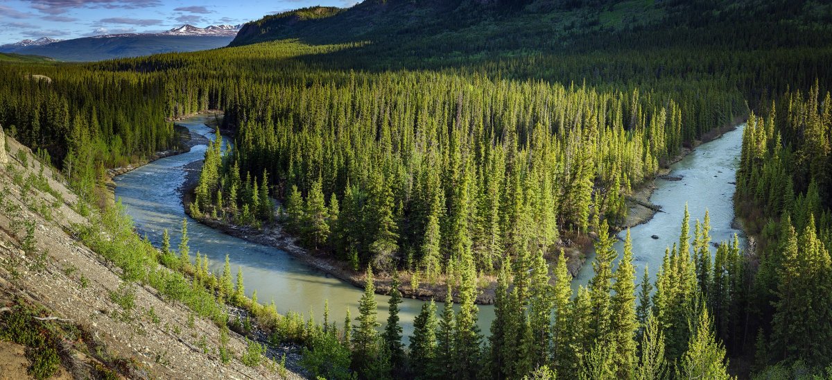 Центр дикой природы Boreal