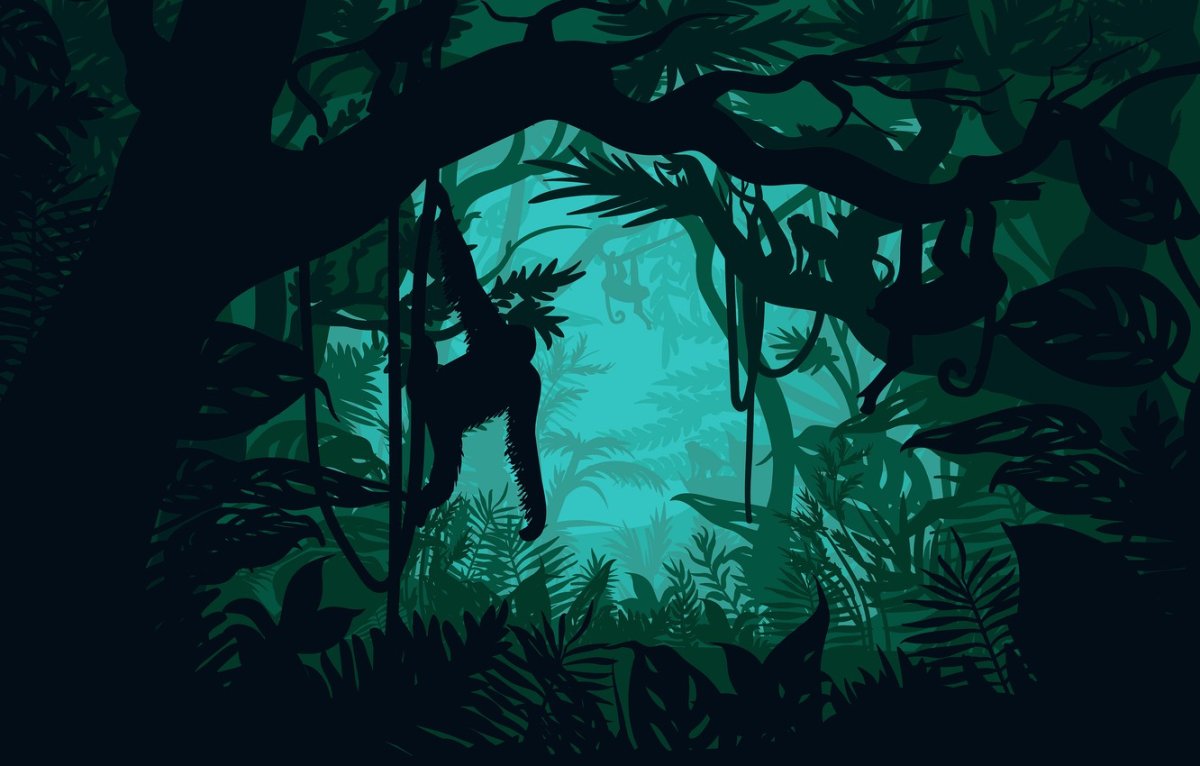 Fon Jungle рисунок