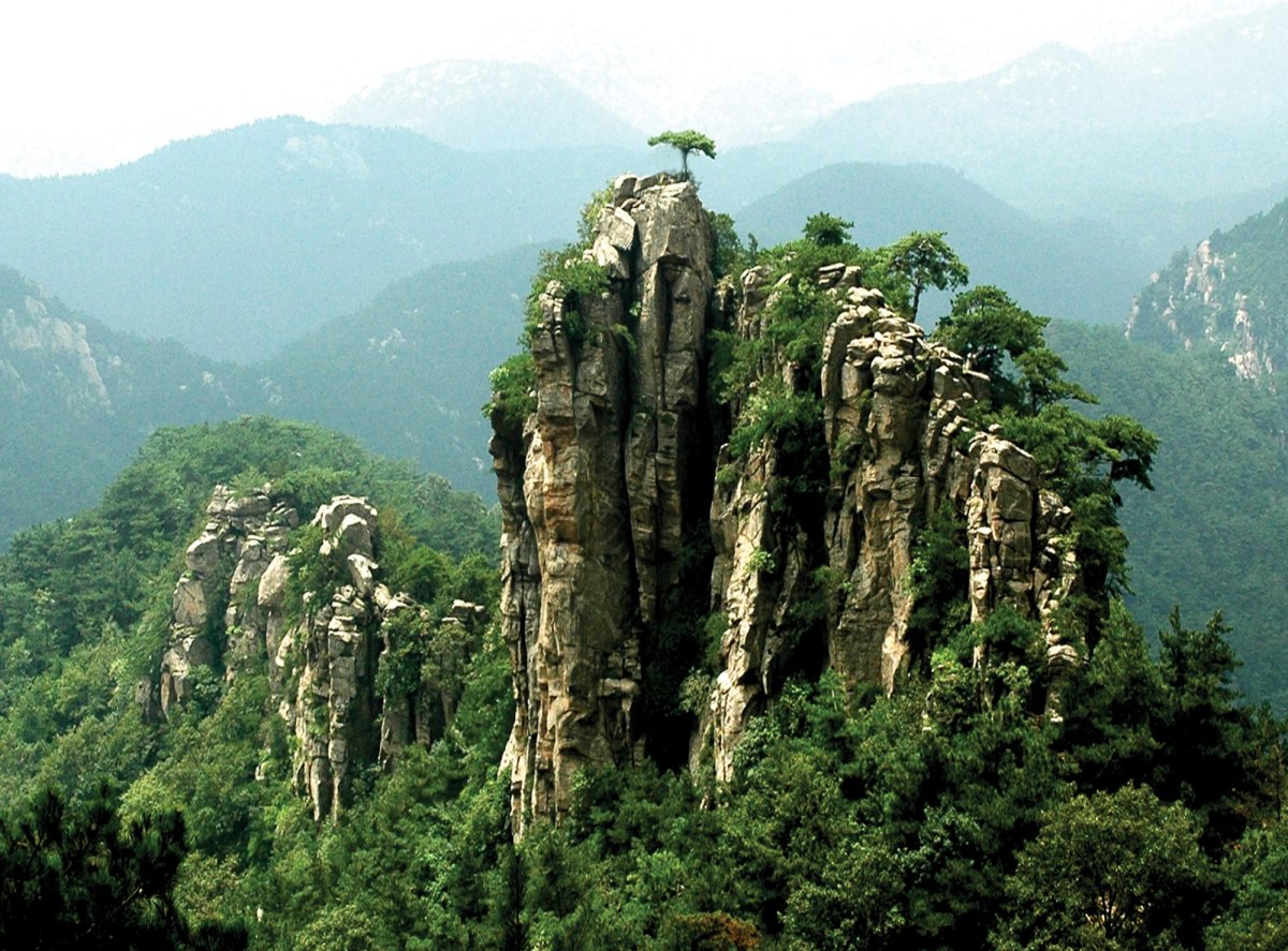 Флора Тайшань