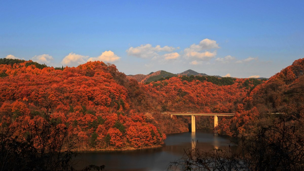 Autumn Bridge
