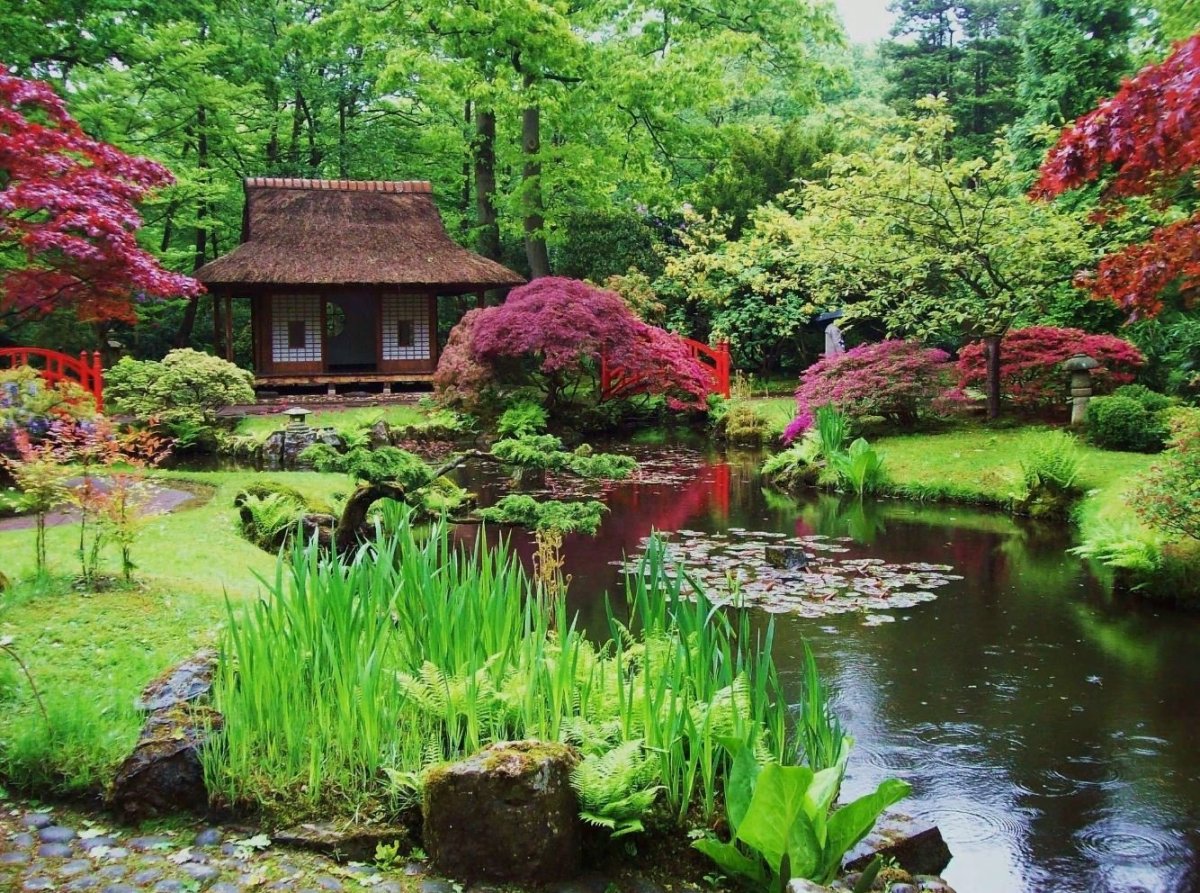 Красивый китайский сад