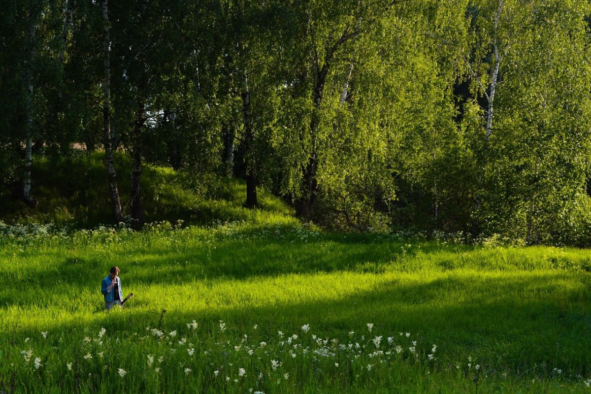 Форест Glade