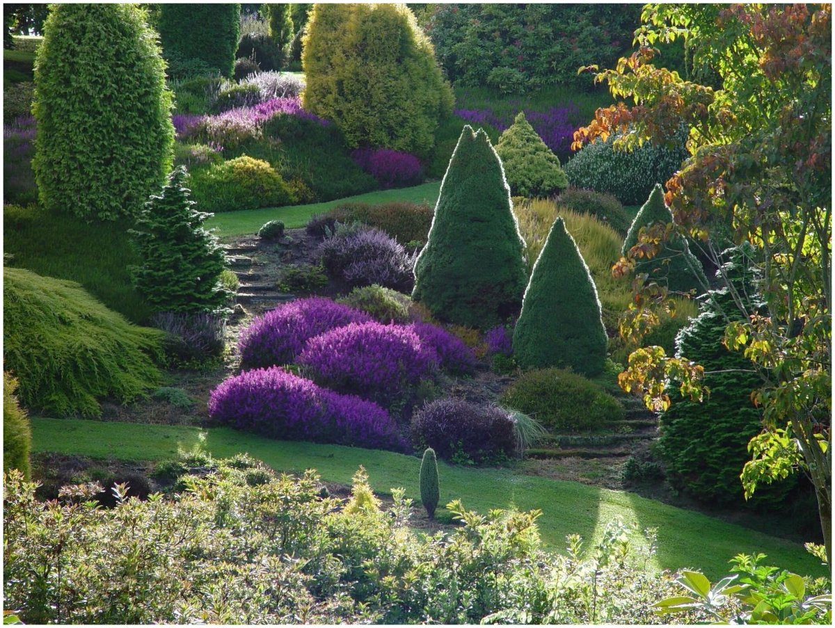 Сад Maple Glen Garden, новая Зеландия
