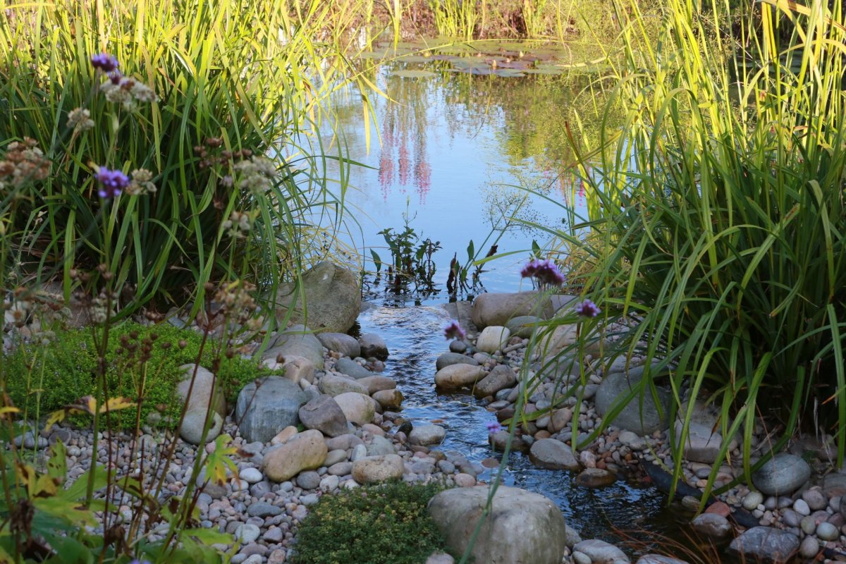 Pond GUW