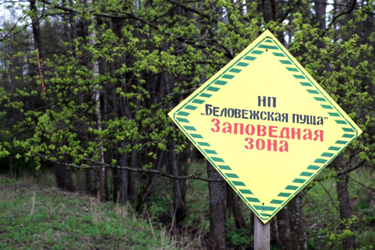 Заповедная зона