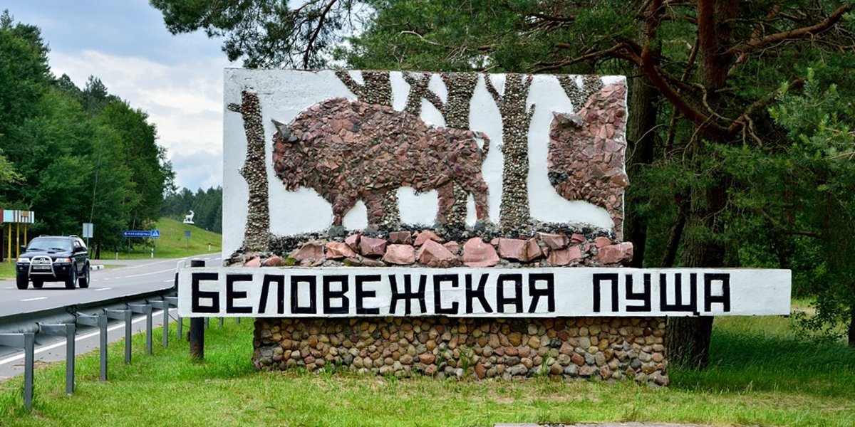 Белоруссия парк Беловежская пуща