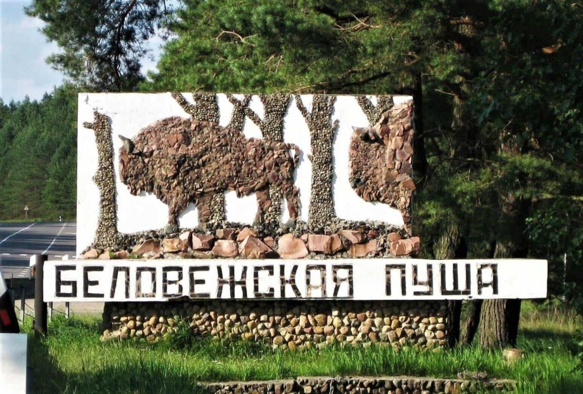 Достопримечательности Белоруссии Беловежская пуща