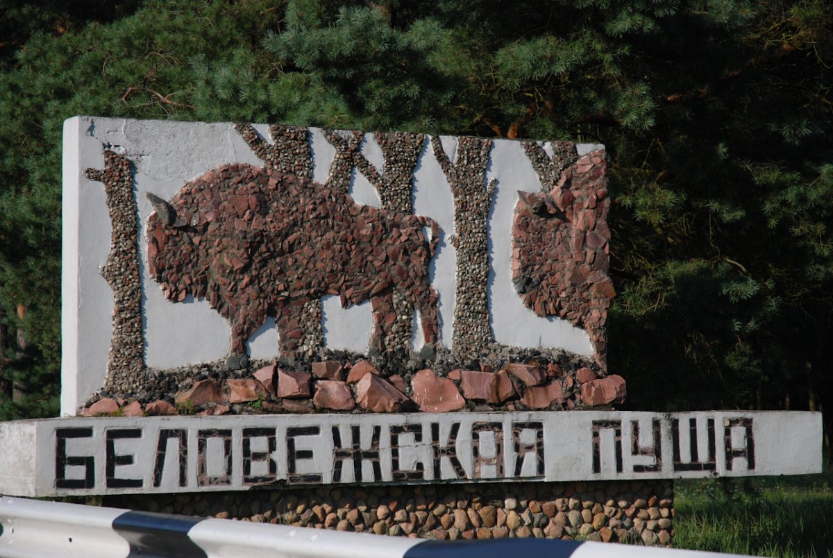 Национальный парк Беловежская пуща Беларусь