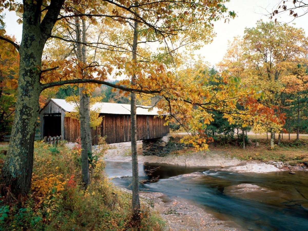 Обои Vermont
