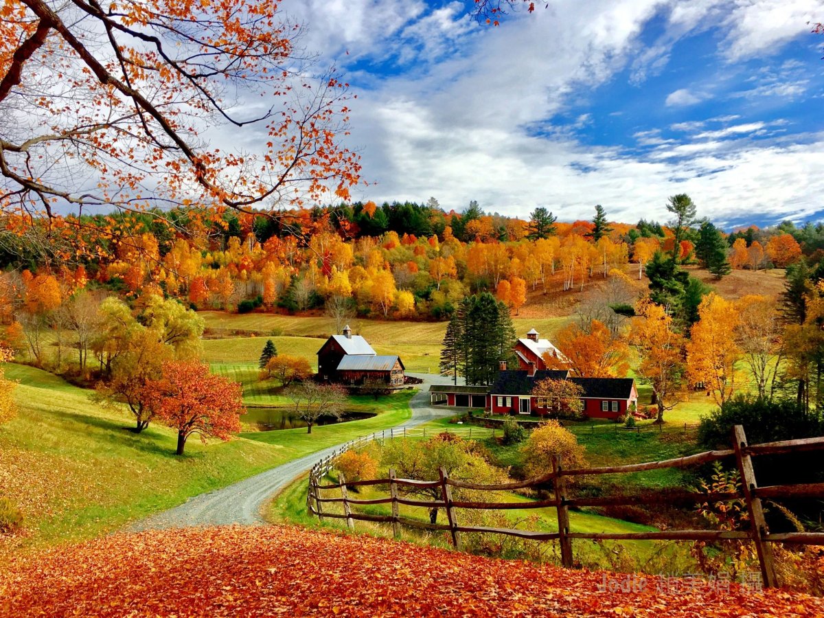 Autumn Scene grade1