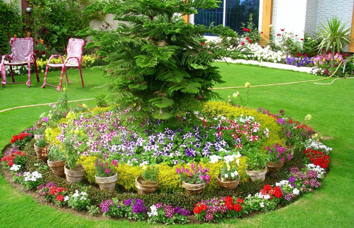 Красивые клумбы на даче
