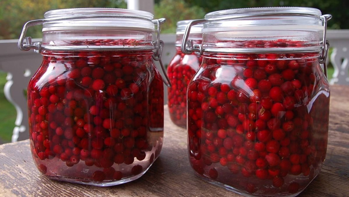 Моченая брусника