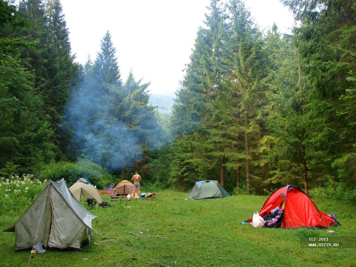 Поход в лес