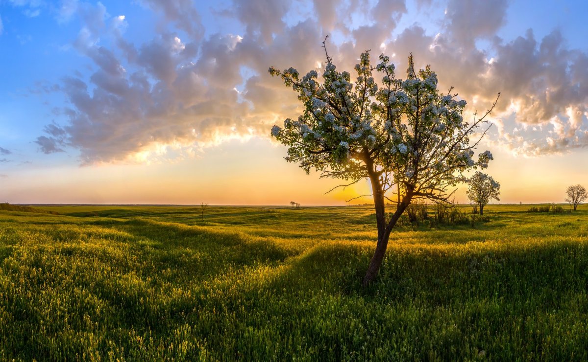 Степной пейзаж