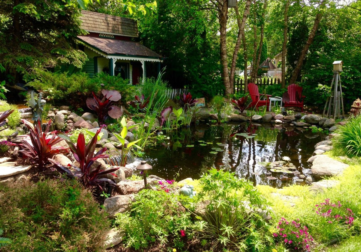 Wildlife Garden Ottawa