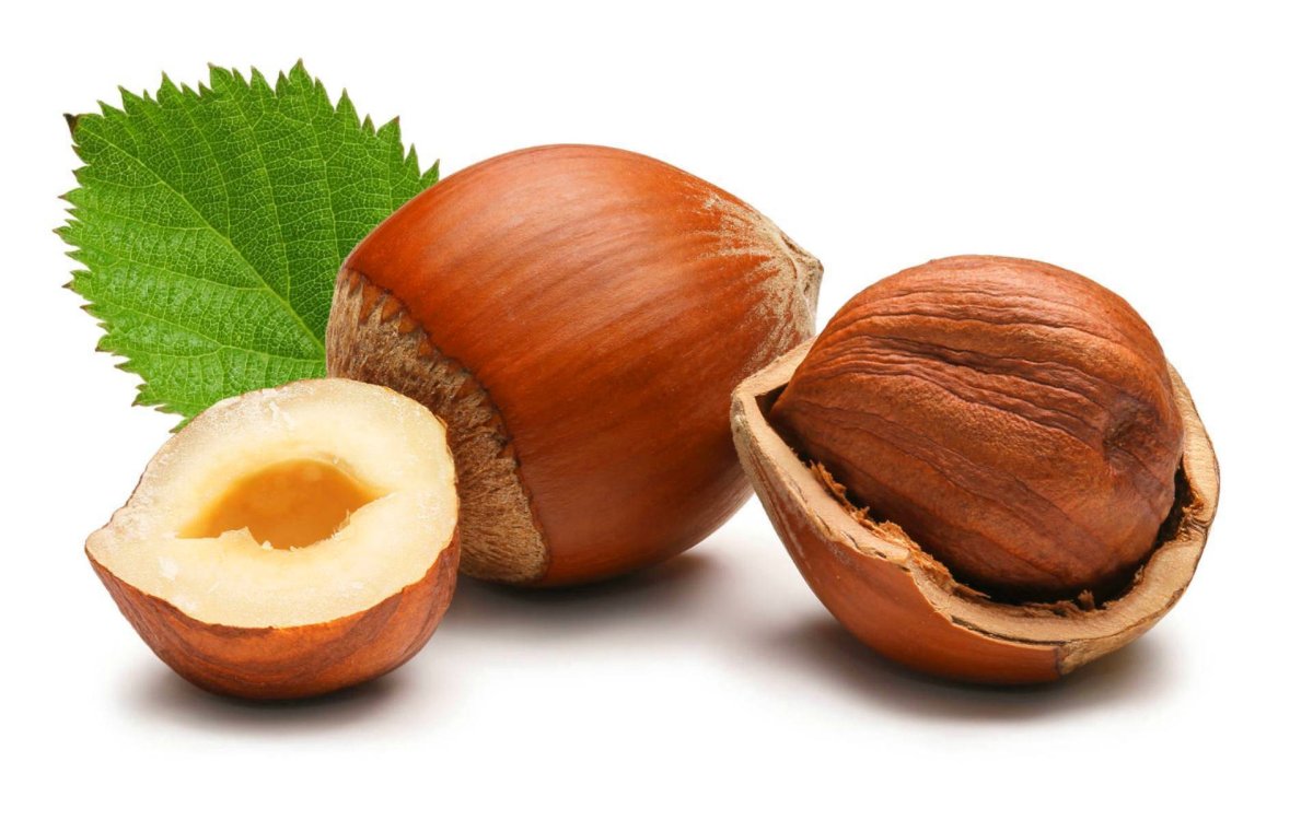 Лесной орех (Hazelnut)