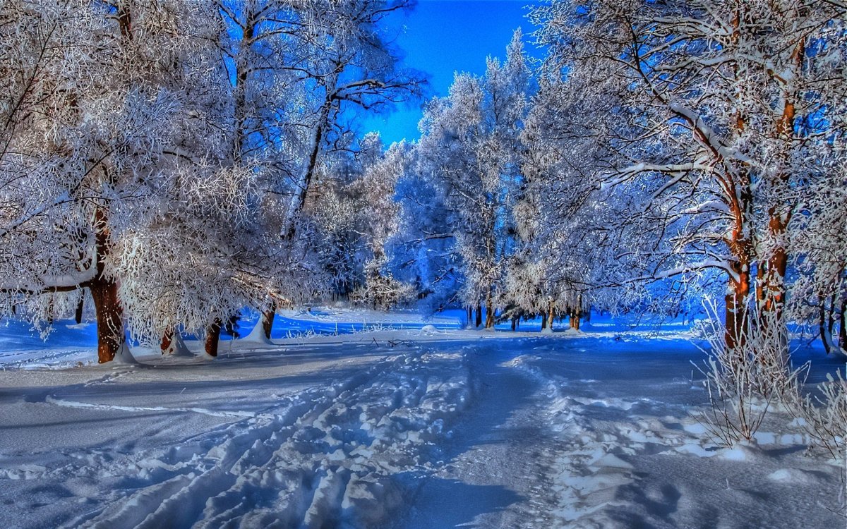 Зимняя природа