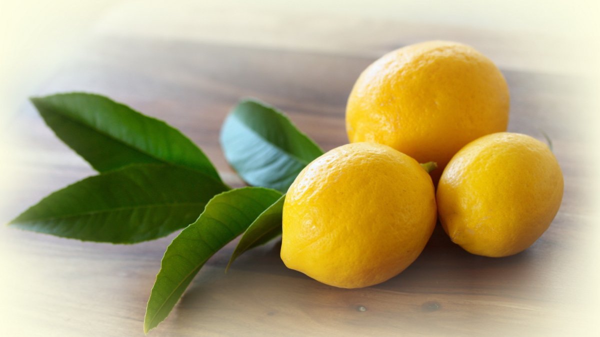 58. Лимон - Citrus Limon
