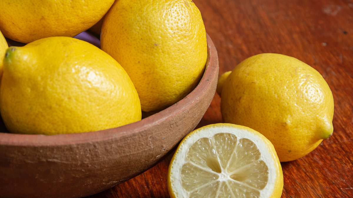 Лимон Флорентина Citrus Limon Florentina
