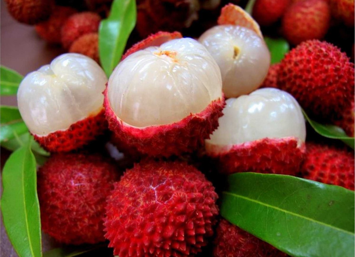 Lychee фрукт