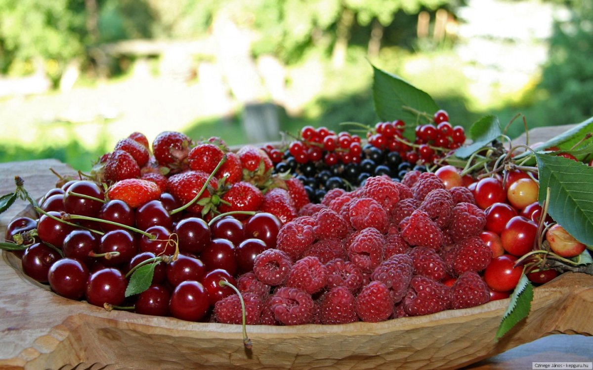 Клубника, малина, вишня, крыжовник (ягоды)