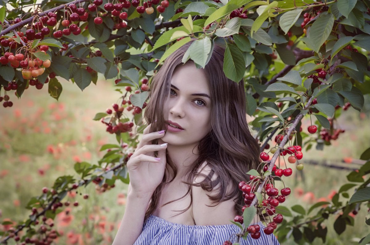 Вишня Ксения