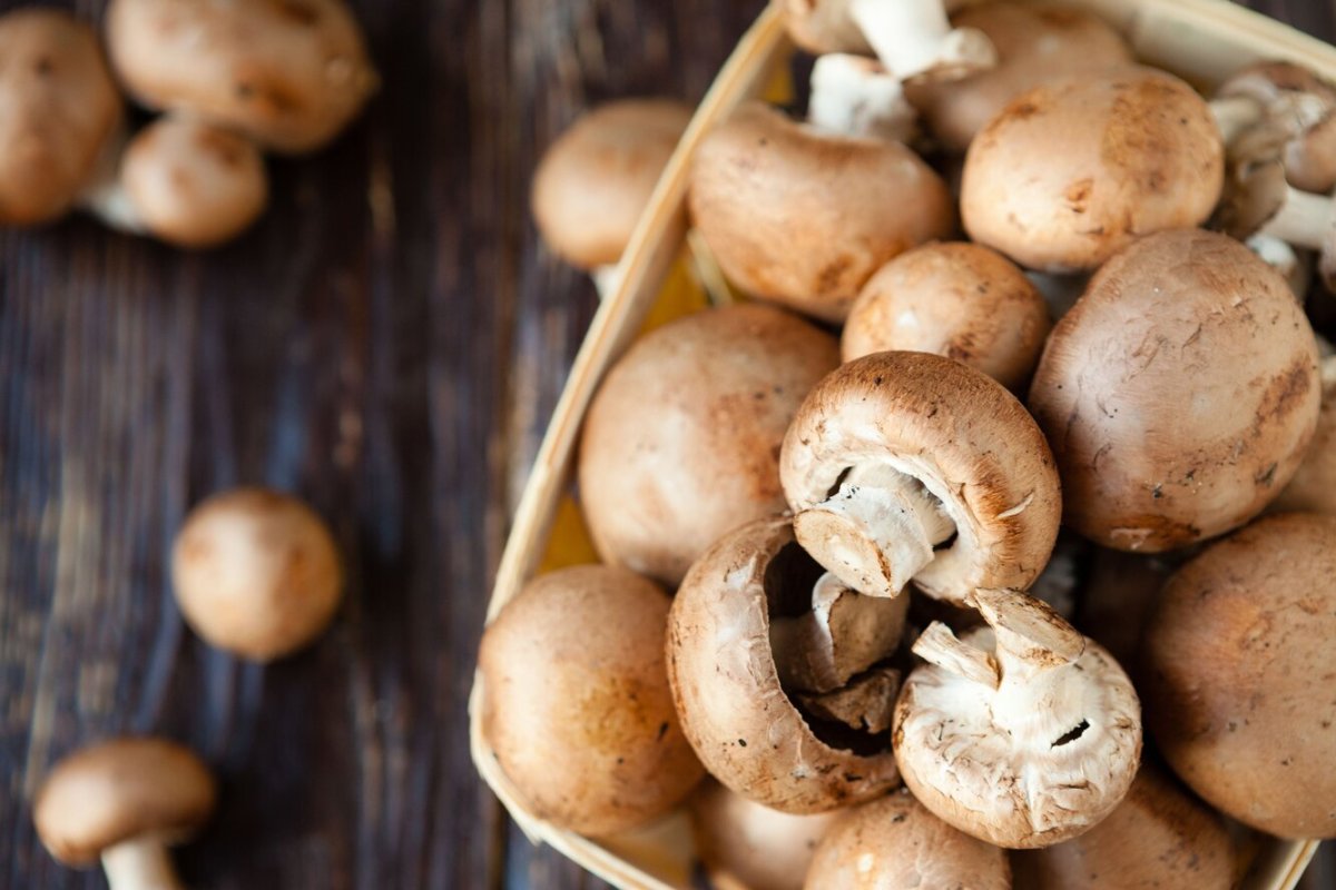 Champignons шампиньоны