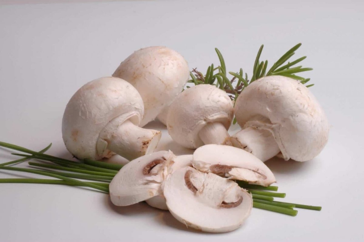 Champignons шампиньоны 3100