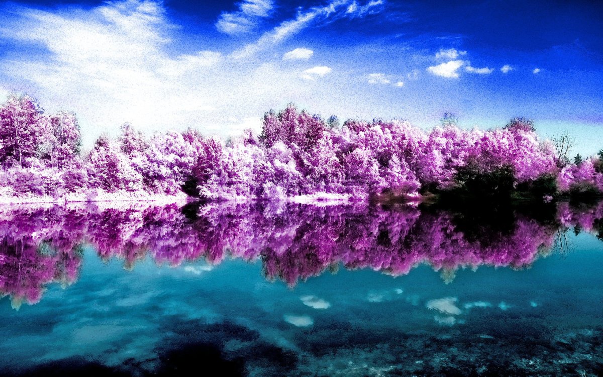 Фиолетовая природа