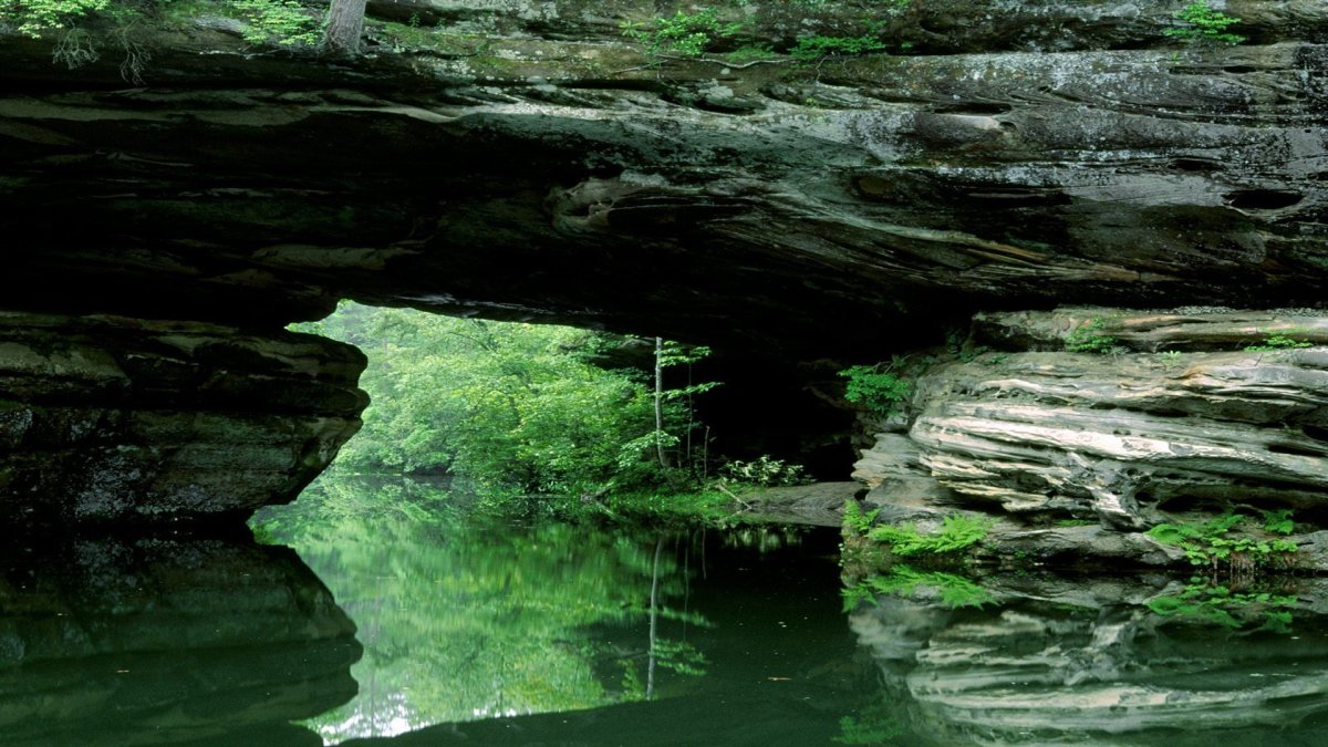 Tennessee State nature