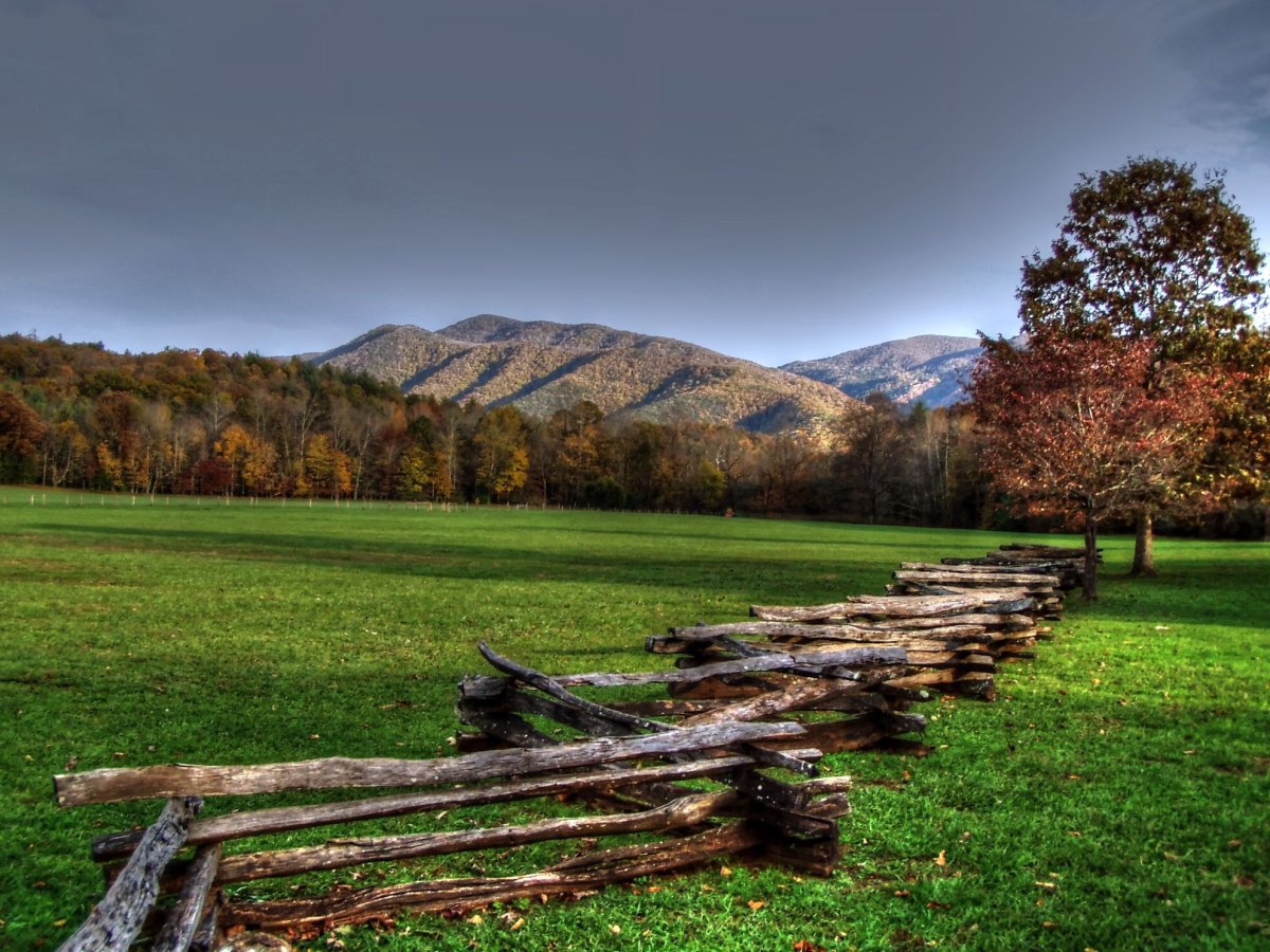 Cades Cove Tennessee
