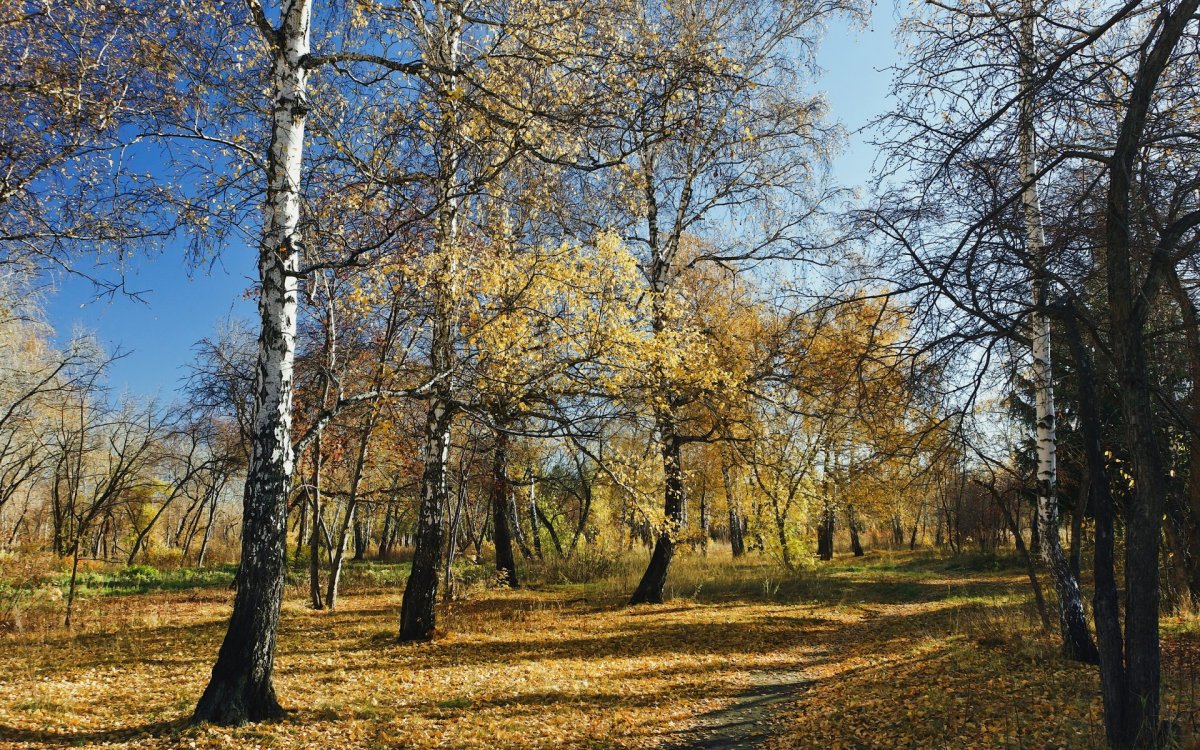 Поздняя осень