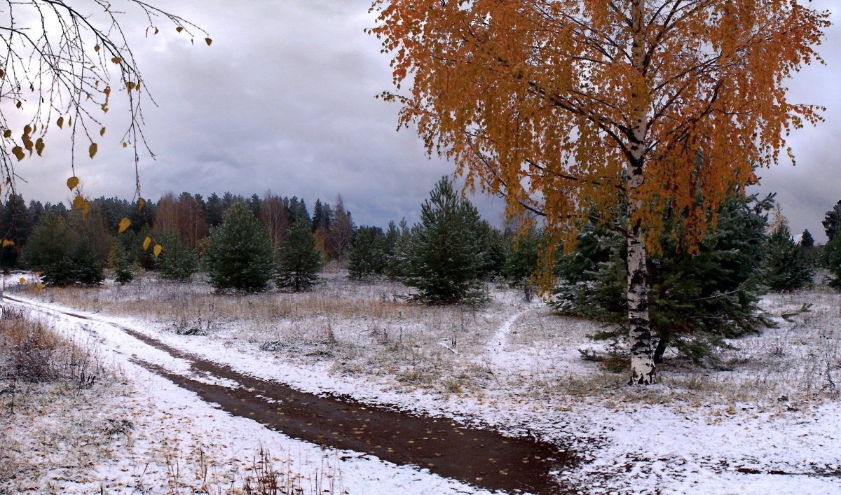 Ранняя зима