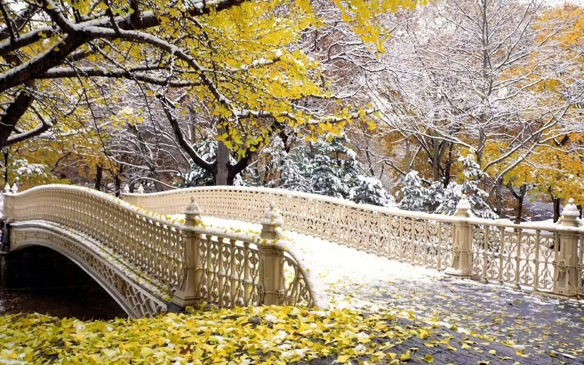 Осень в Нью-Йорке Центральный парк