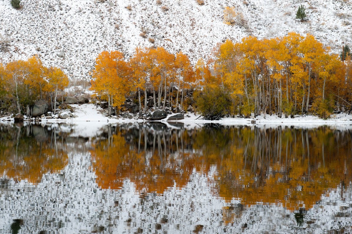Осень снег