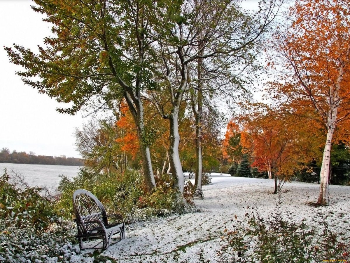 Конец осени