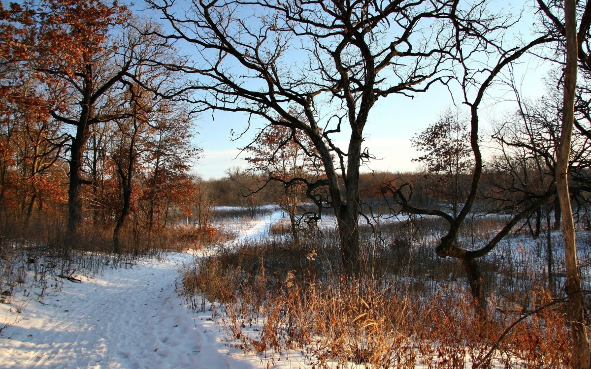 Поздняя осень, предзимье