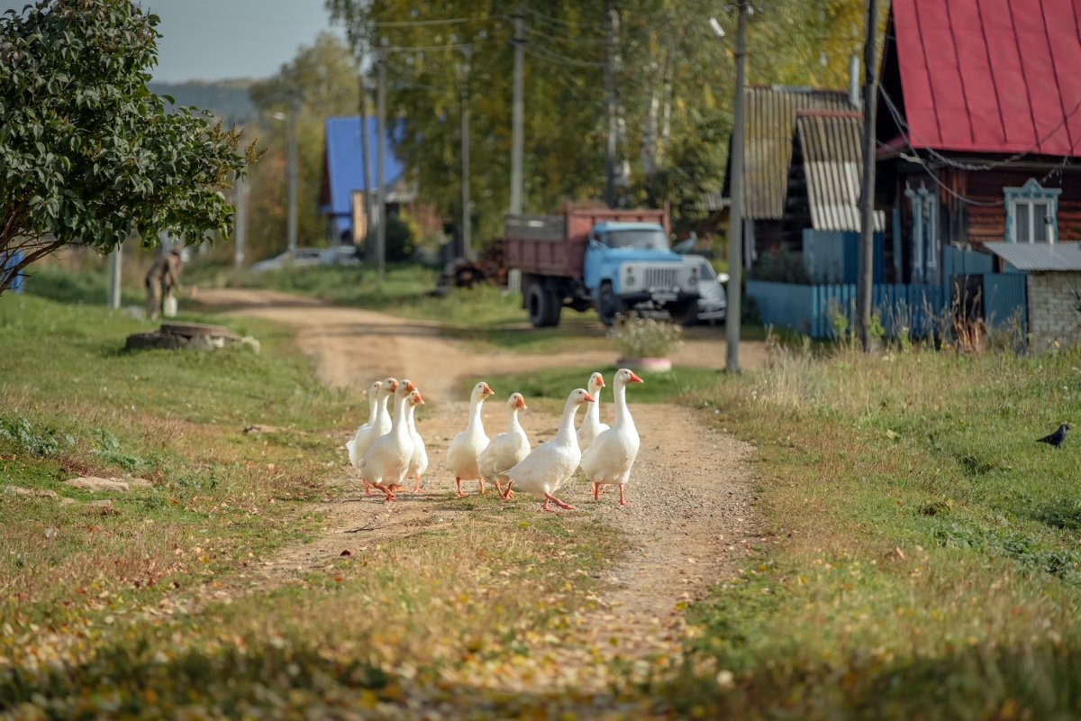 Деревня Полозово Пермский край