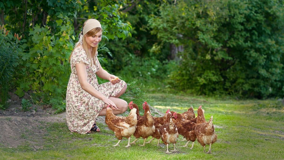 Фотосессия с курицей