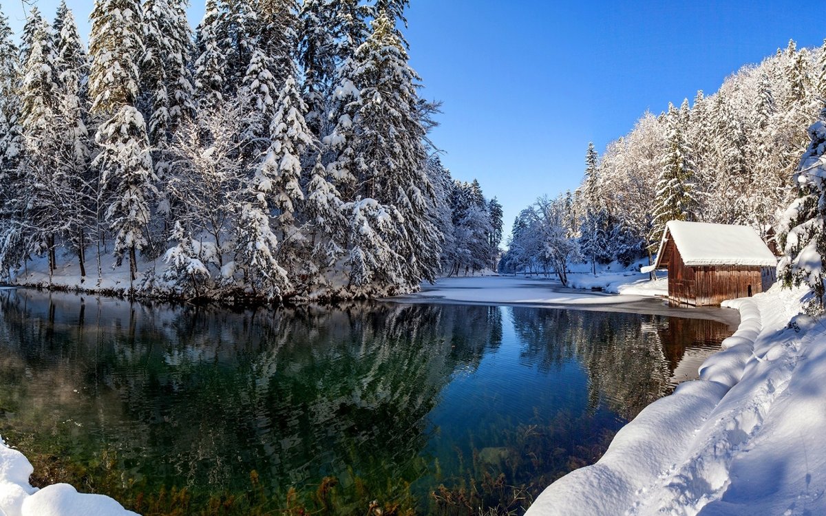 Зимняя природа