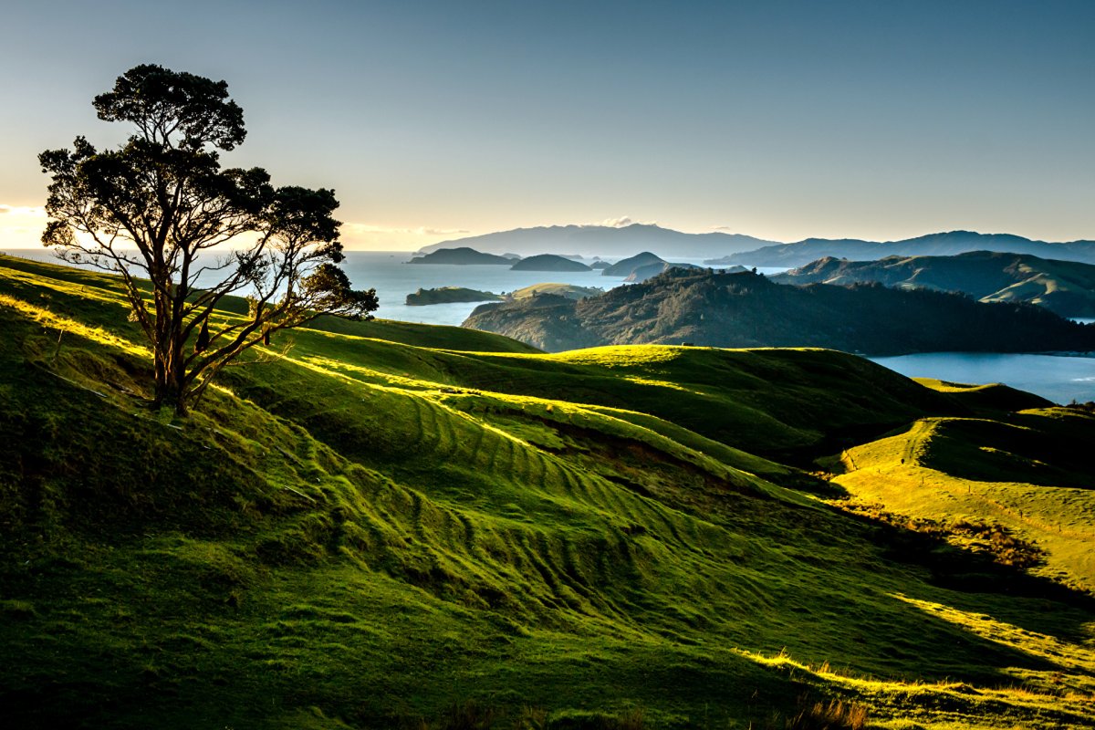 Новая Зеландия (New Zealand)