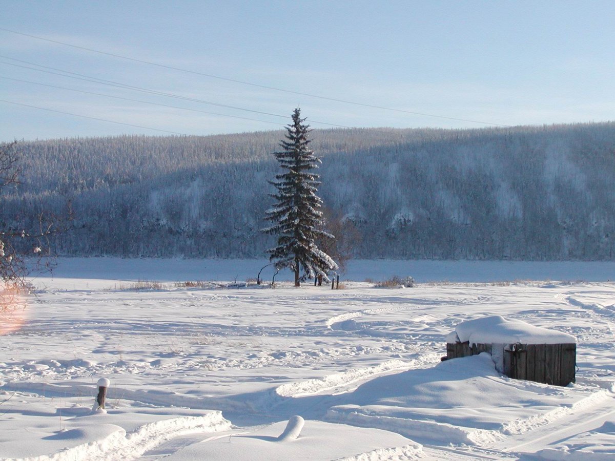 Нидым Красноярский край